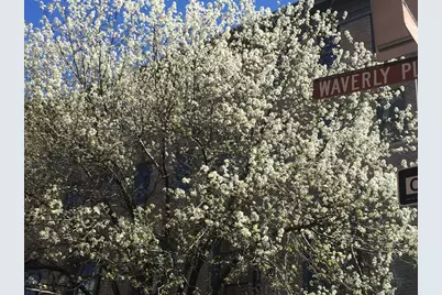 161 W 10th Street #4C, New York City, NY 10014 - Photo 21