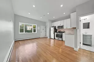 250 16th St, New York City, NY 11215 - Photo 3