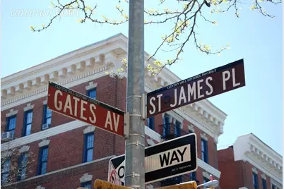 178 St James Place #1, New York City, NY 11238 - Photo 11