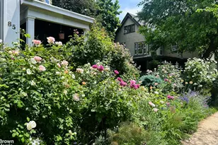 85 Westminster Rd, New York City, NY 11218 - Photo 19