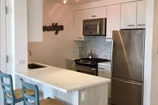 267 Pacific St, Brooklyn, NY 11201 - Photo 3