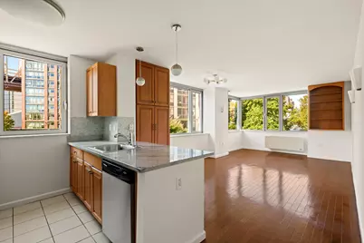 425 Main Street #3N, New York, NY 10044 - Photo 1