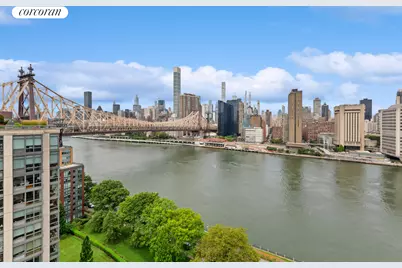 425 Main Street #3N, New York, NY 10044 - Photo 23