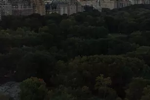 150 Central Park S, New York City, NY 10019 - Photo 35
