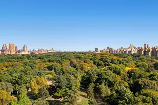 110 Central Park S, New York, NY 10019 - Photo 21