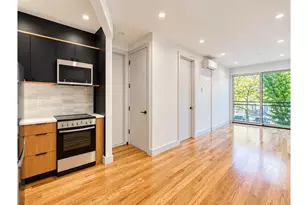 1226 St Marks Ave, New York City, NY 11213 - Photo 1
