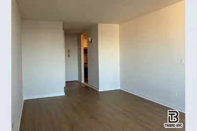 250 W 50th Street #1M, New York City, NY 10019 - Photo 3
