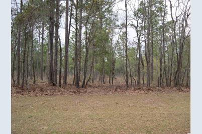 73 Pineberry Dr., Georgetown, SC 29440 - Photo 1