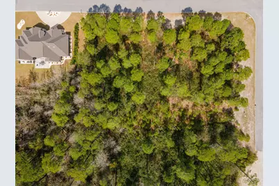 1259 Ficus Dr., Myrtle Beach, SC 29579 - Photo 13