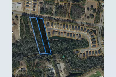 Tbd Highway 905, Conway, SC 29526 - Photo 5