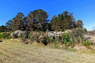 3028 Newcastle Loop, Myrtle Beach, SC 29588 - Photo 1
