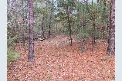 Tbd Persimmon Ford Rd., Johnsonville, SC 29555 - Photo 1