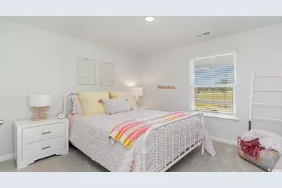 247 Teddy Bear Circle, Conway, SC 29526 - Photo 19