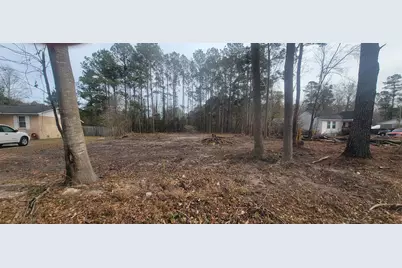 4632 Pee Dee Hwy., Conway, SC 29527 - Photo 1