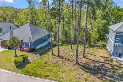 246 Rivers Edge Dr., Conway, SC 29526 - Photo 1