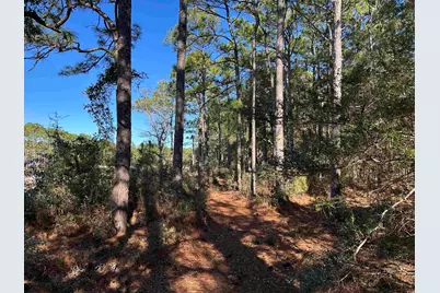 8000 Ocean Highway, Pawleys Island, SC 29585 - Photo 17