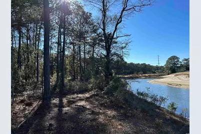 8000 Ocean Highway, Pawleys Island, SC 29585 - Photo 3