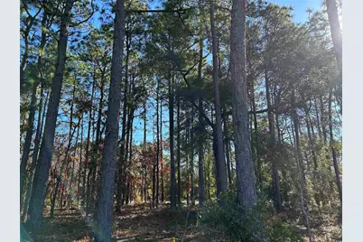 8000 Ocean Highway, Pawleys Island, SC 29585 - Photo 21