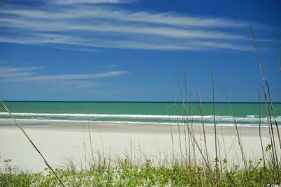 9994 Beach Club Dr. #1404, Myrtle Beach, SC 29572 - Photo 39