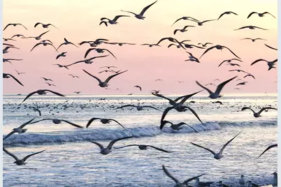 3792 Hitchcock Way #238, Myrtle Beach, SC 29577 - Photo 29