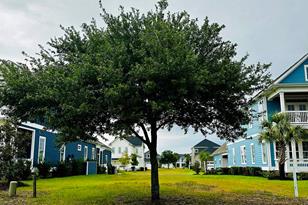 361 W Palms Dr, Myrtle Beach, SC 29579 - Photo 1