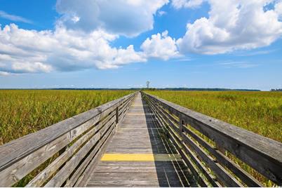 Lot 56 Lagrange Rd., Georgetown, SC 29440 - Photo 15