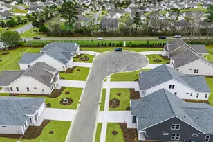 876 Mountain Mint Cir NW, Calabash, NC 28467 - Photo 29