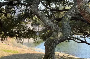 410 Melrose Pl, Myrtle Beach, SC 29572 - Photo 11