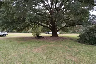 4575 Saints Delight Rd, Georgetown, SC 29440 - Photo 27