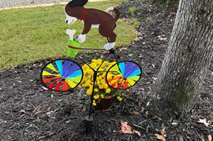 3723 Choppee Rd, Georgetown, SC 29440 - Photo 27