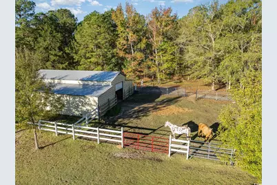 1555 Big Swamp Rd., Pamplico, SC 29583 - Photo 3