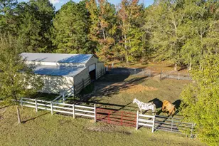 1555 Big Swamp Rd, Pamplico, SC 29583 - Photo 3