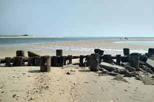 598 Blue Stem Dr, Pawleys Island, SC 29585 - Photo 35