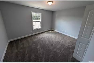 Tbd 17 Mineral Springs Rd., Conway, SC 29527 - Photo 9