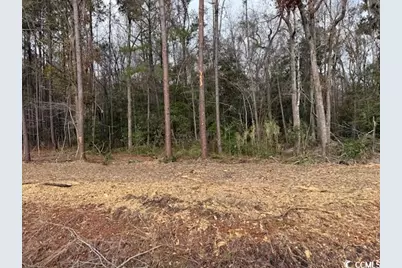 19.09 Acs Kates Bay Hwy., Conway, SC 29527 - Photo 19