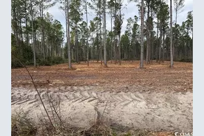 19.09 Acs Kates Bay Hwy., Conway, SC 29527 - Photo 17