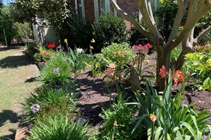 118 Oatland Lake Rd, Pawleys Island, SC 29585 - Photo 27