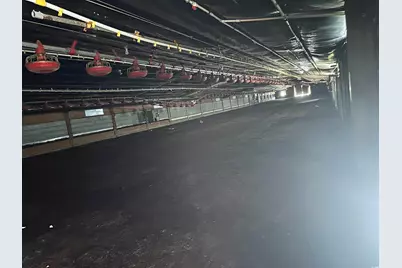 100 Lulu Ln., Bennettsville, SC 29512 - Photo 33