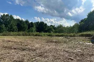 100 Lulu Ln, Bennettsville, SC 29512 - Photo 1
