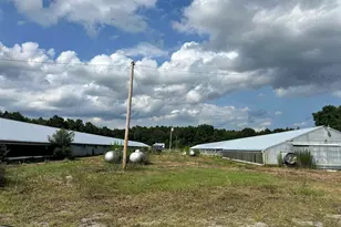 100 Lulu Ln, Bennettsville, SC 29512 - Photo 29