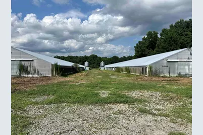 100 Lulu Ln., Bennettsville, SC 29512 - Photo 31