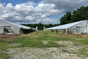 100 Lulu Ln, Bennettsville, SC 29512 - Photo 31