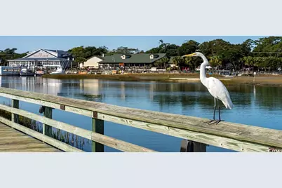 523 Slaty Dr., Myrtle Beach, SC 29588 - Photo 21