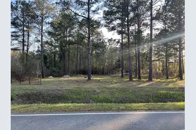 2108 Lees Landing Circle, Conway, SC 29526 - Photo 1