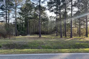 2108 Lees Landing Cir, Conway, SC 29526 - Photo 1