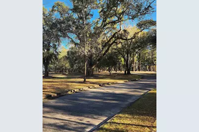 Lot 20 Serenity Park Ln, Georgetown, SC 29440 - Photo 9