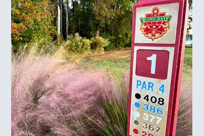 902 Foxtail Dr. #D-43, Longs, SC 29568 - Photo 31