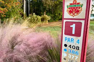 902 Foxtail Dr, Longs, SC 29568 - Photo 31