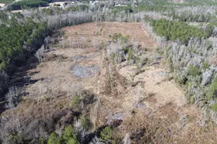 Tbd Hwy 905, Conway, SC 29526 - Photo 1