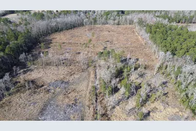 Tbd Highway 905, Conway, SC 29526 - Photo 5